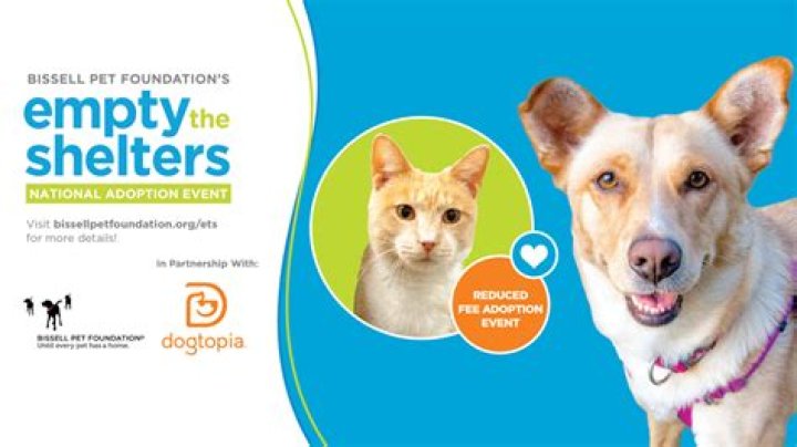 Animal Shelters in Prince George's County, MD: A Comprehensive Guide