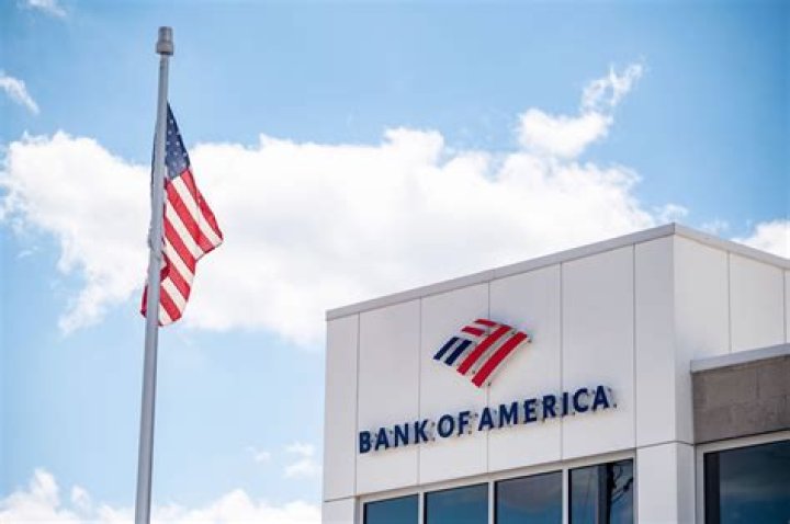 Bank of America: The Legacy of Anne Finucane