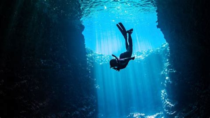 Briialexia Fans: A Deep Dive into the Community and Its Impact