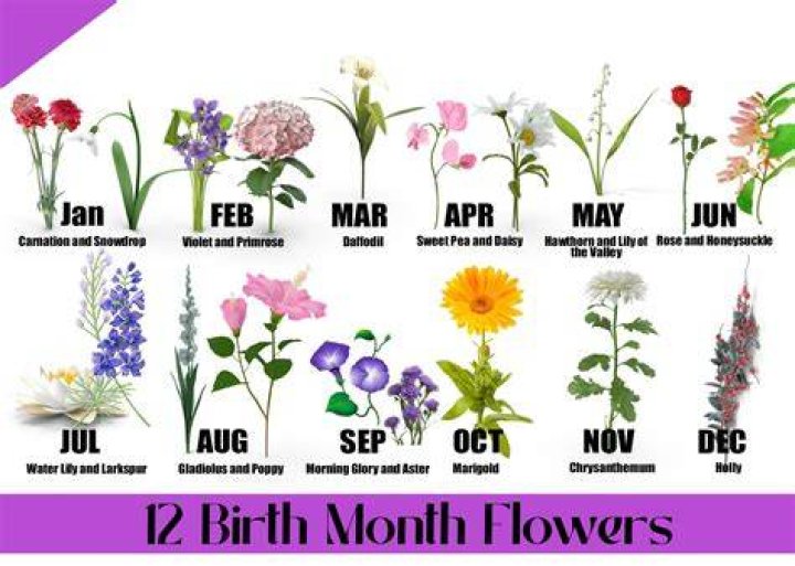 Discovering the Beauty and Significance of the May Birth Flower