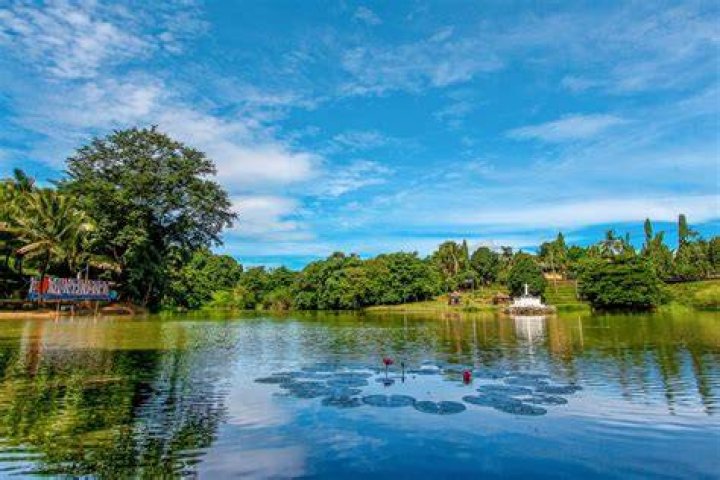 Discovering the Charm of 