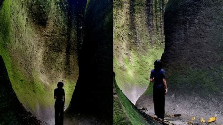 Exploring Oppenheim Park: A Hidden Gem in Urban Nature