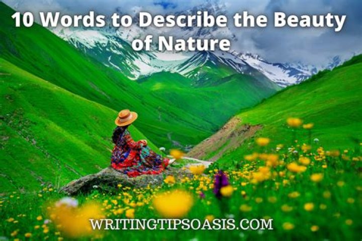 Exploring the Beauty of 