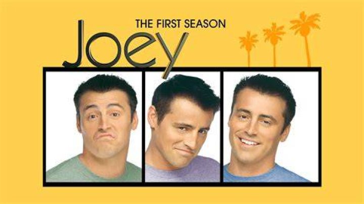 Exploring the Charm of Joey TV Series: A Comprehensive Guide