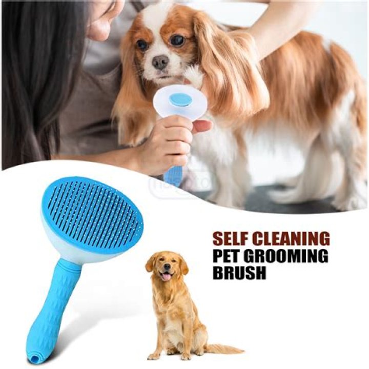 Furzapper Net Worth: Insights into the Innovative Pet Care Product