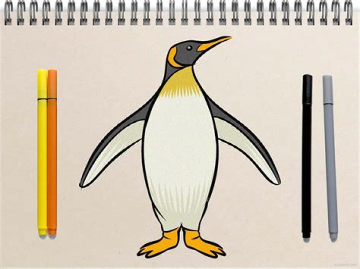 How to Create Stunning Penguin Drawings: A Comprehensive Guide