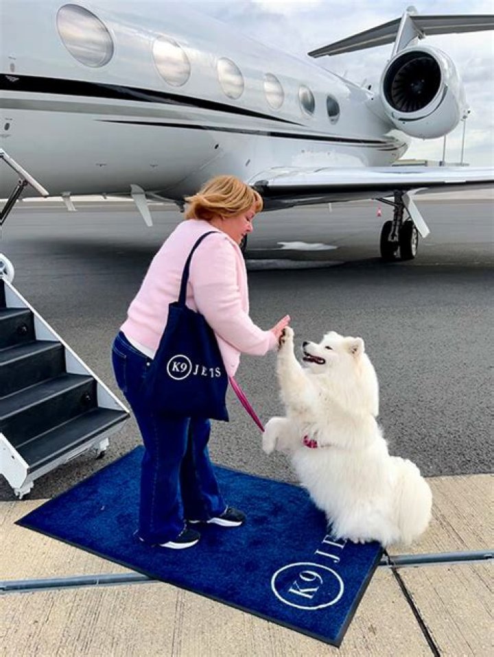K9 Jets: The Unbreakable Bond Between Canines and Aviation