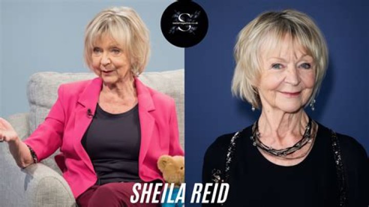 Liza Todd: A Comprehensive Overview of Her Life and Career