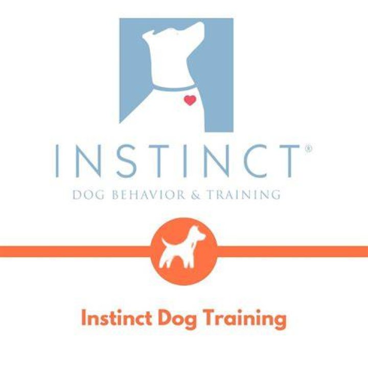 Mastering Instinct Dog Training: Unlocking Your Dog's Potential