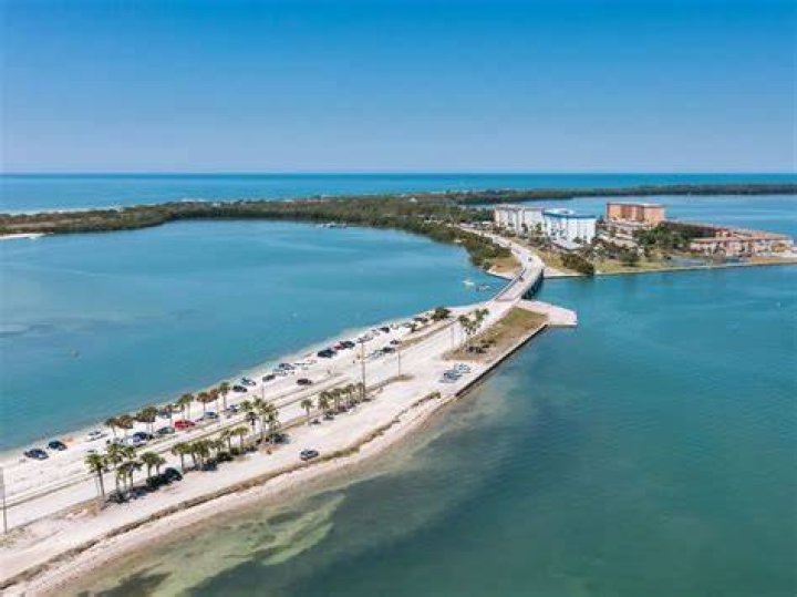 Ozona Blue: A Gem in Palm Harbor, FL