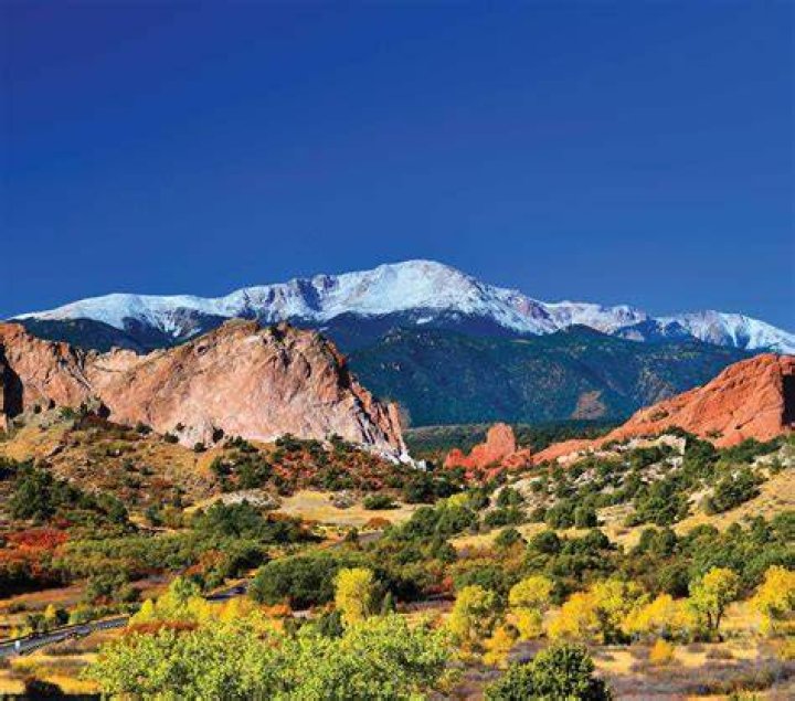Peak Gastro: A Culinary Gem in Colorado Springs, CO