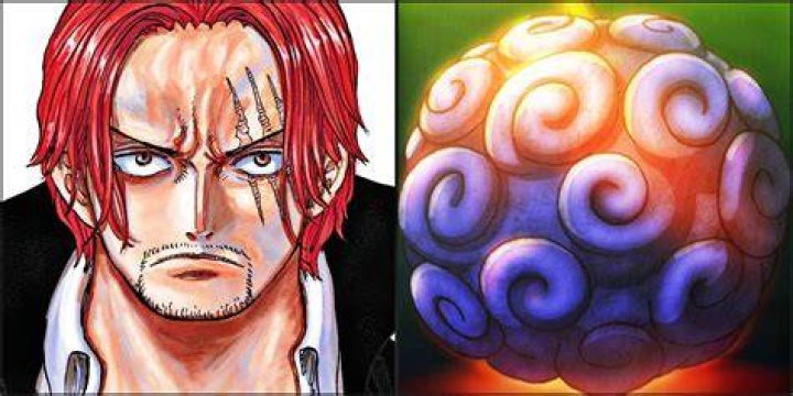 The Incredible Powers and Mysteries of the Gomu Gomu no Mi