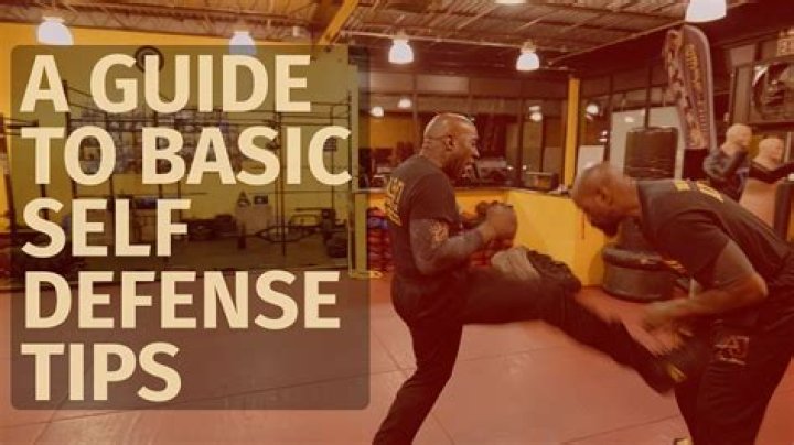 The Ultimate Guide to Arm-in-Hammer Techniques for Effective Self-Defense