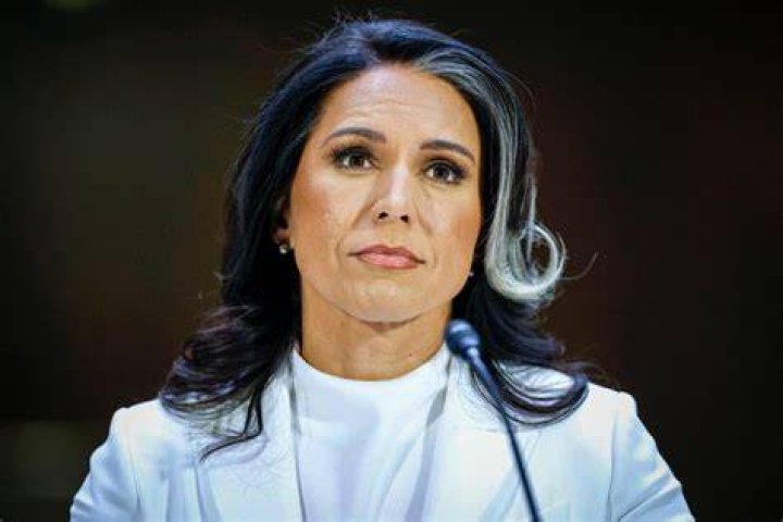 Tulsi Gabbard's Kids: A Closer Look at Her Family Life