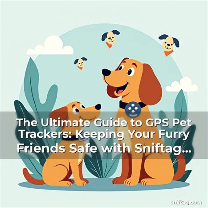 Ultimate Guide to Dog Trackers: Keeping Your Furry Friend Safe