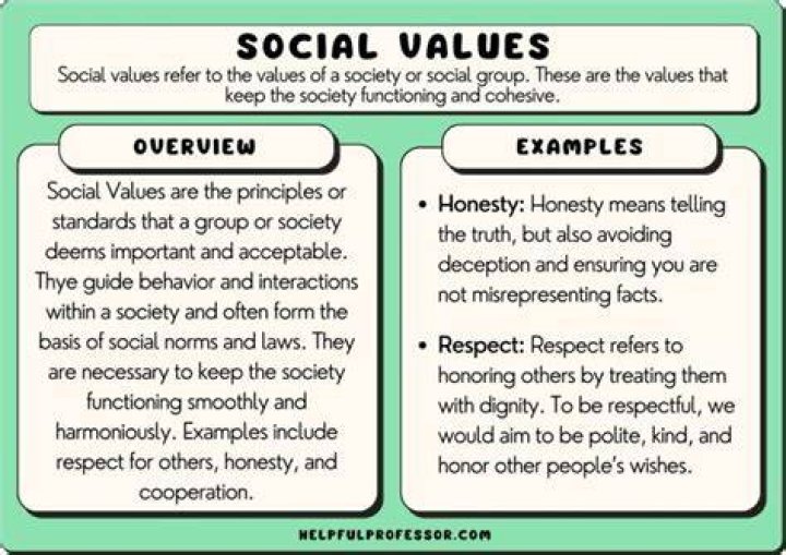 Understanding Sociality House: A Comprehensive Guide