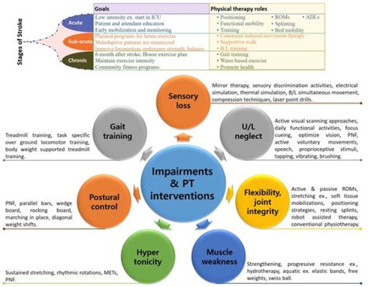 Understanding Team Rehabilitation: A Comprehensive Guide