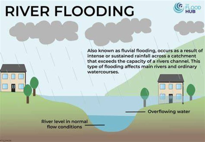 Understanding Urban Flooding: The Insights of Darcy Andrews