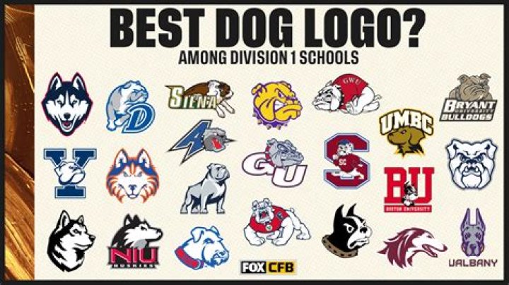 Unleashing the Potential: The Top Dog on Campus
