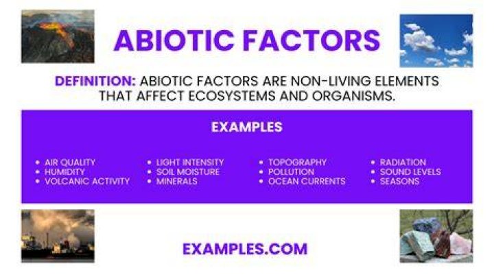Unlocking the Secrets of Abiotic Factors: What to Trade as a Blacksmith