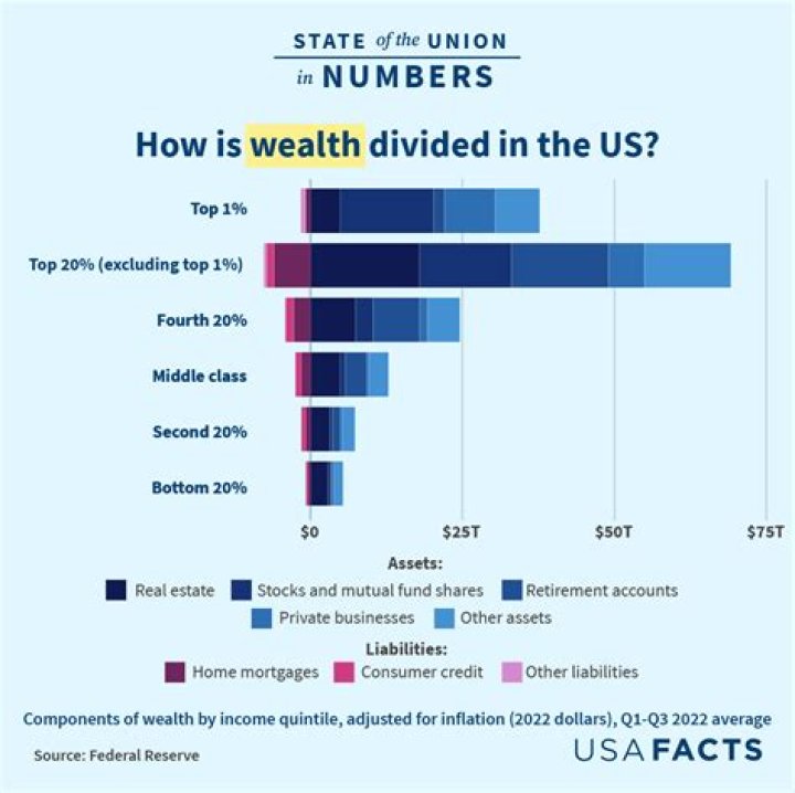 Unraveling the Financial Landscape: Analyzing Solemender&rsquo;s Net Worth