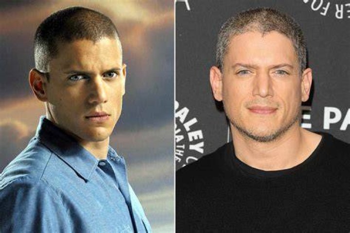 Wentworth Miller Spouse 2024: A Glimpse Into His Personal Life