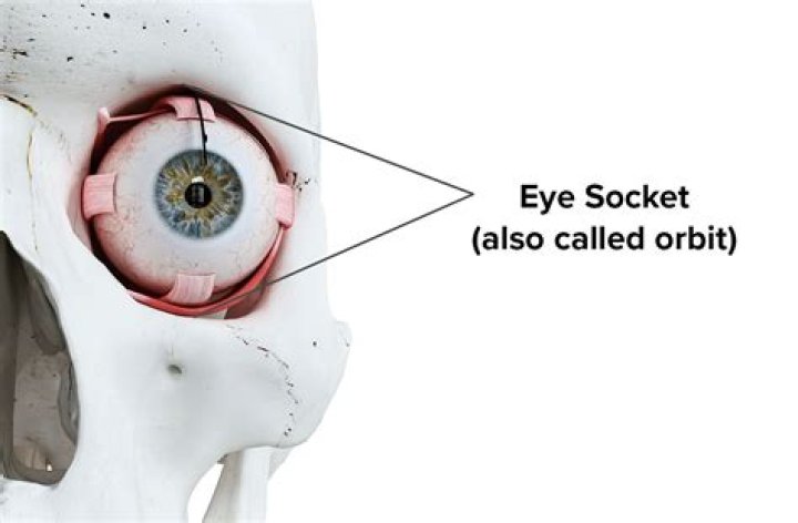 When the Eyeball is Out of Socket: Understanding the Condition